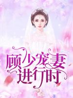 顾少宠妻进行时