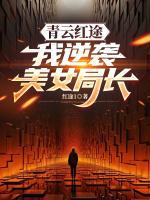 青云红途：我逆袭美女局长