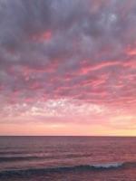 《茶凉如夜人如雾》免费章节第4章在线阅读