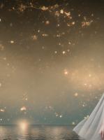 沈意晚谢听寒是哪部小说主人公 退婚后，我成了京城最狠的嫡女章节推荐