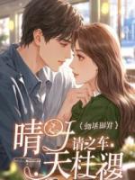 《替嫁当天,我撕碎婚书》林清鸢沈聿风小说免费章节在线阅读