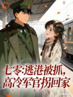 七零，逃港被抓，高冷军官拐回家