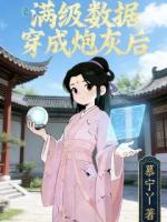 《满级数据穿成炮灰后》推荐章节第1章免费阅读