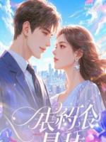 《我老婆是黑客,专治各种不服》精彩章节推荐:第4章