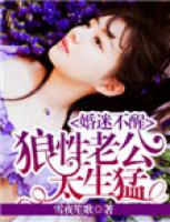 婚迷不醒：狼性老公太生猛
