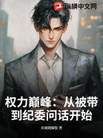 权力巅峰：从被带到纪委问话开始