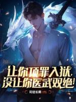 让你顶罪入狱，没让你医武双绝！
