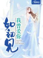 我曾爱你如初见