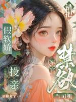 唐婉陆泽小说叫什么名字《假娇软投亲,错把禁欲军官当司机》在线阅读