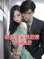 我把婆家送进精神病院后陈岚李伟免费章节在线阅读