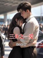 三分之一爱