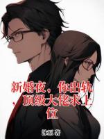 新婚夜，你出轨，顶级大佬求上位