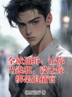 全城通缉：让你当逃犯，没让你绑架追捕官