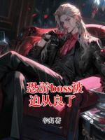 恐游boss被迫从良了