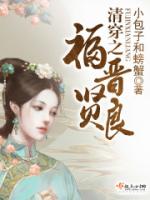 清穿之福晋贤良