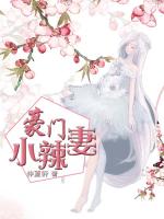豪门小辣妻