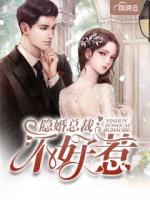 隐婚总裁不好惹