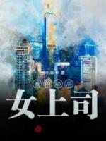 我的极品女上司