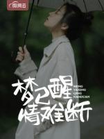 梦已醒情难断