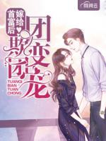 嫁给首富后团欺变团宠