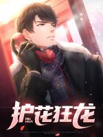 护花狂龙