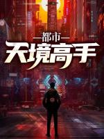 都市天境高手