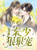 替嫁后秦少狠狠宠