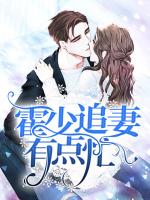 霍少追妻有点忙
