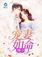 傅少宠妻如命