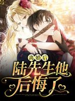 离婚后陆先生他后悔了