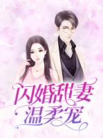 闪婚甜妻温柔宠