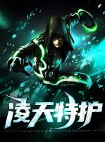 凌天特护