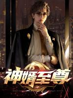神婿至尊