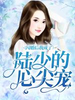闪婚后，我成了陆少的心尖宠