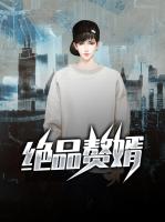 绝品赘婿