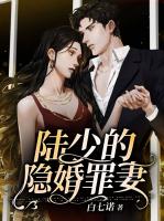 陆少的隐婚罪妻