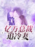 亿万总裁追冷妻