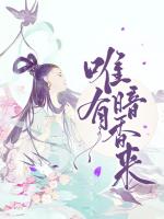 唯有暗香来
