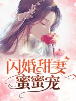 闪婚甜妻蜜蜜宠