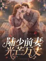 陆少前妻光芒万丈