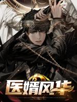 医婿风华