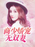 商少娇宠无双妻