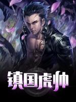 镇国虎帅