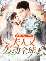 团宠三宝：夜少，夫人又轰动全球了