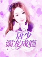 唐少溺宠成瘾