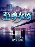 鉴宝神婿