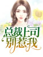 总裁上司别惹我