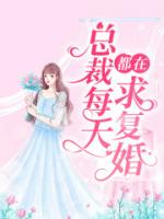总裁每天都在求复婚