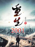 重生2001