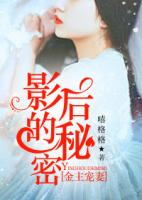 金主宠妻：影后的秘密